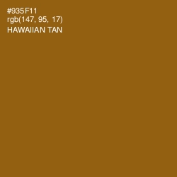 #935F11 - Hawaiian Tan Color Image
